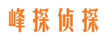 孝义市调查公司